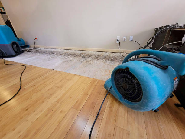 Professional Water Damage Repair technician working in Jefferson Valley, NY
